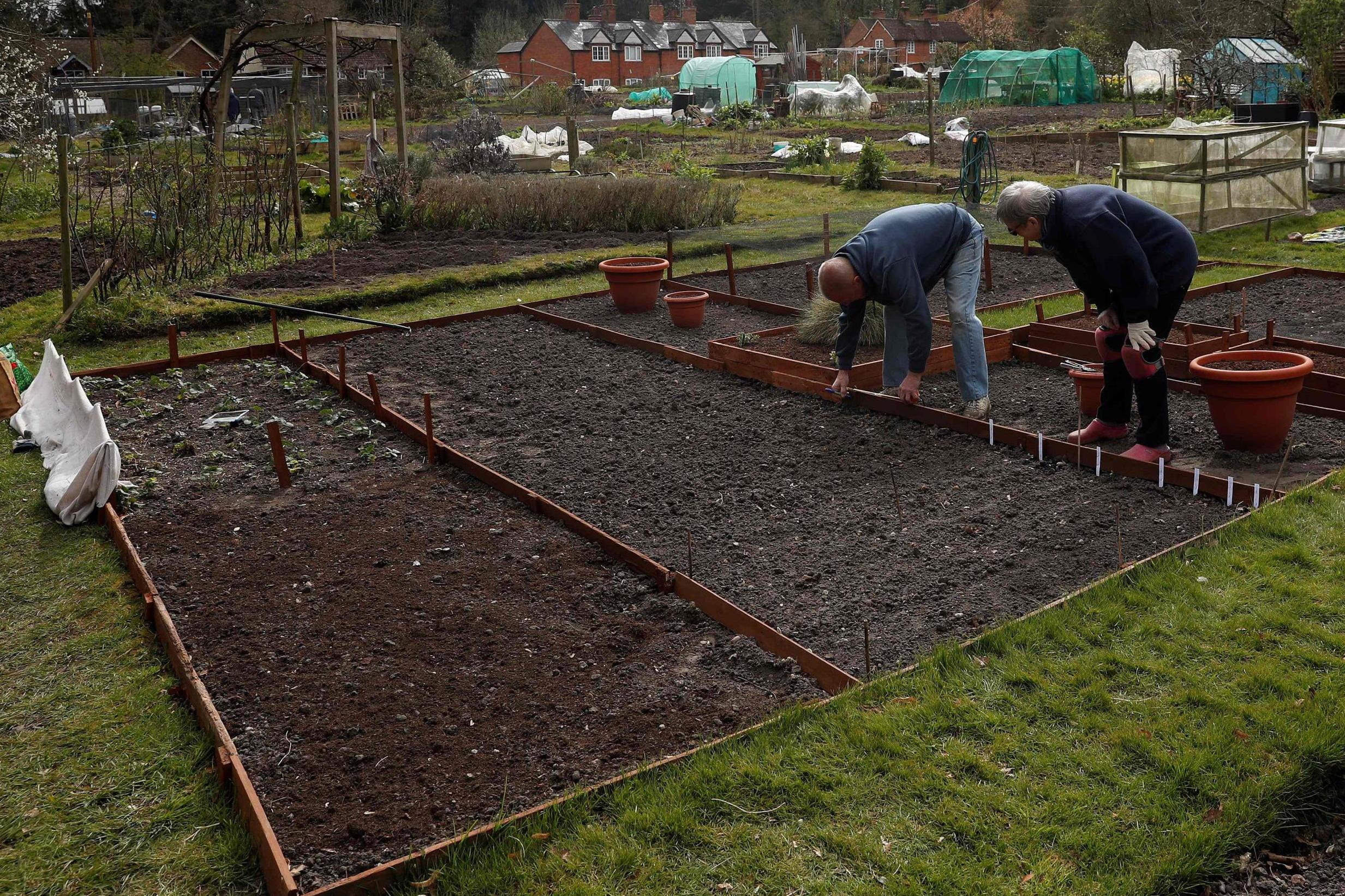 Pam Poole and her partner Chris Burrows plant seeds at their allotment in London (AFP/Getty)