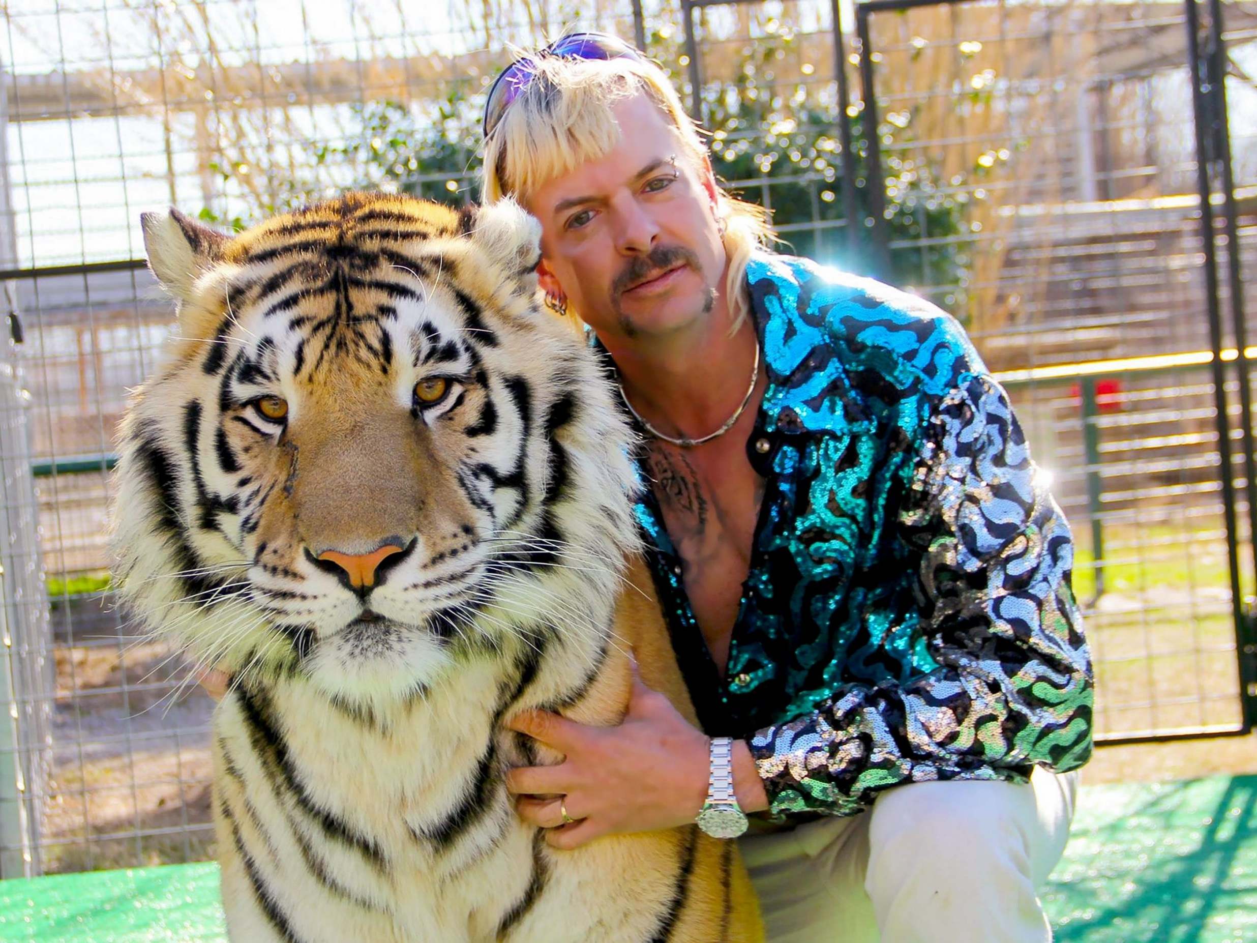 The story of Joe Exotic has captured tens of millions of viewers.