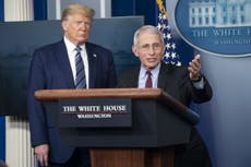 New York governor 'can't imagine' Trump would fire Dr Fauci