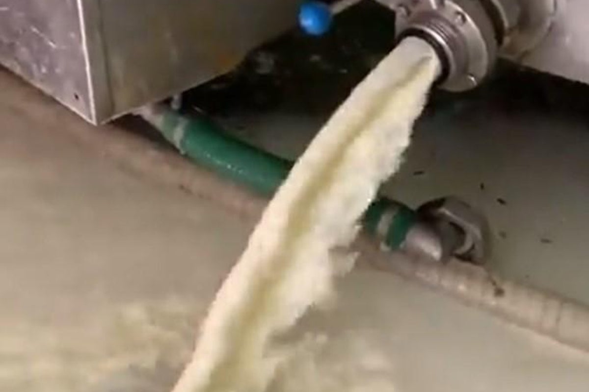 Coronavirus: Dairy farmers throwing thousands of litres of milk away as ...