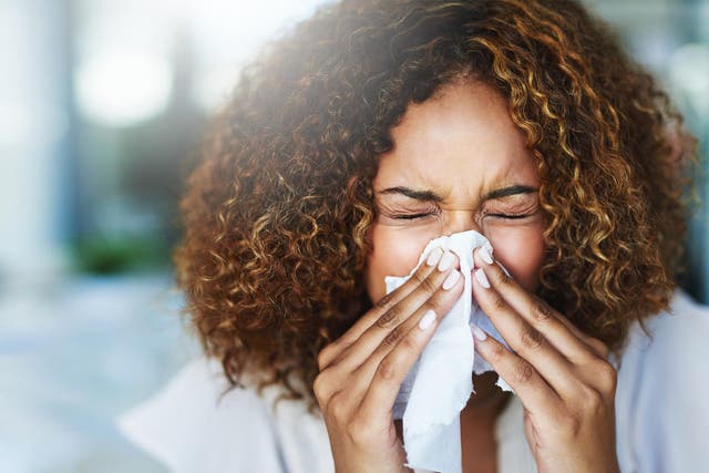 <p>You don’t want to get caught out on a high pollen day, so follow these tips</p>