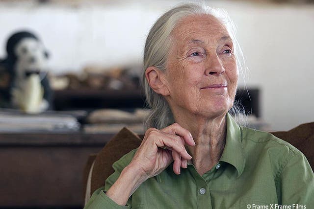 Dr Jane Goodall in Gombe, Tanzania