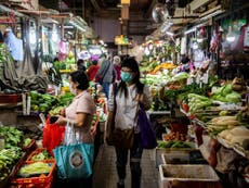 Focus on the wildlife trade, not wet markets, say experts