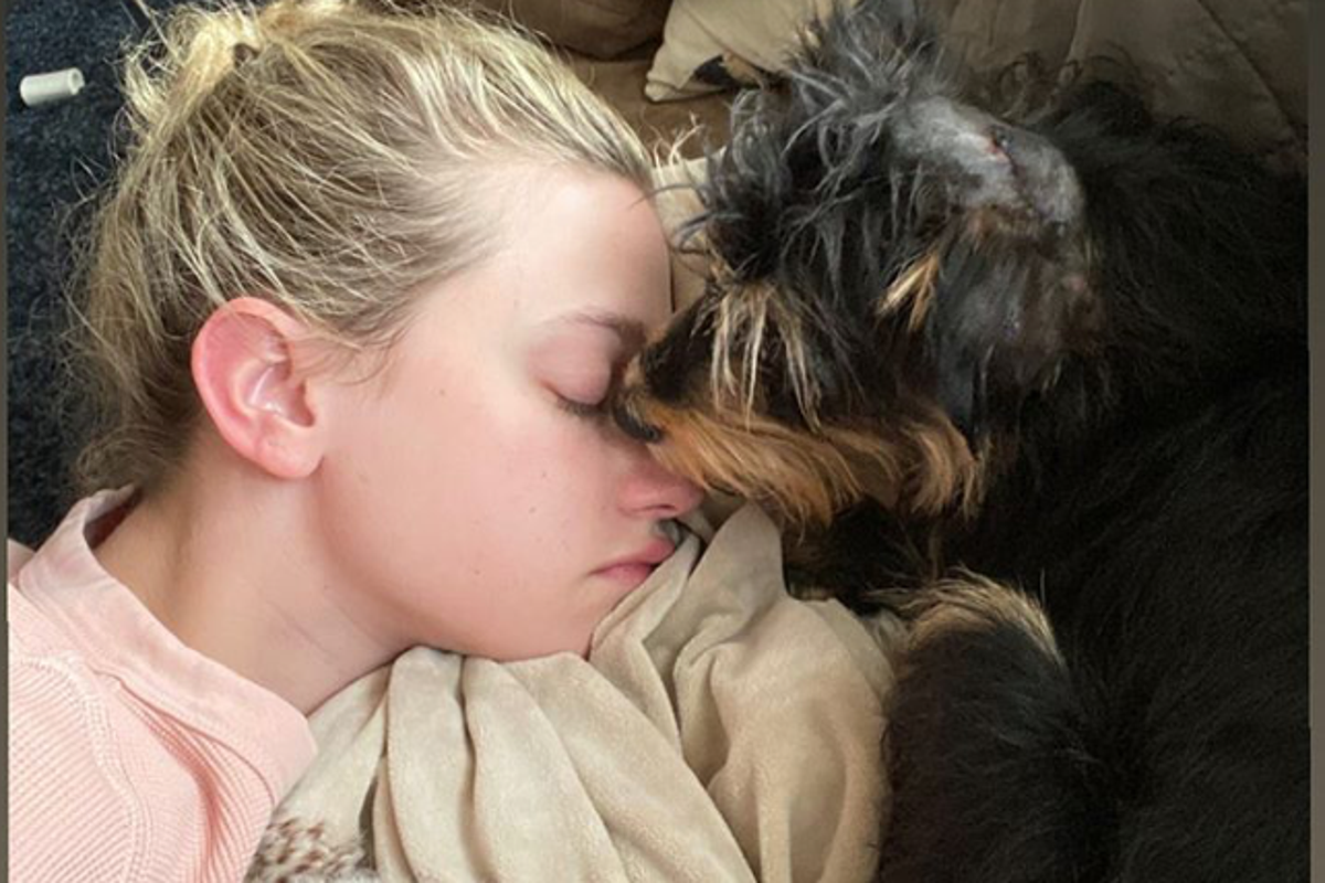 Lili Reinhart updates fans after revealing dog Milo was attacked in(01)