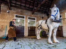 Yorkshire brewery delivers beer to local residents using horses