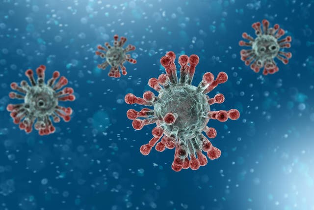 Microscopic view of Coronavirus, a pathogen that attacks the respiratory tract. Analysis and test, experimentation. Sars. 3d render.