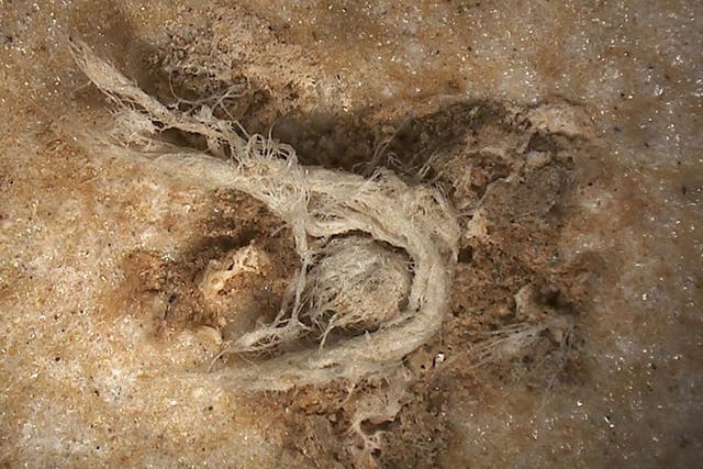 A 50,000-year-old piece of string has been found in France