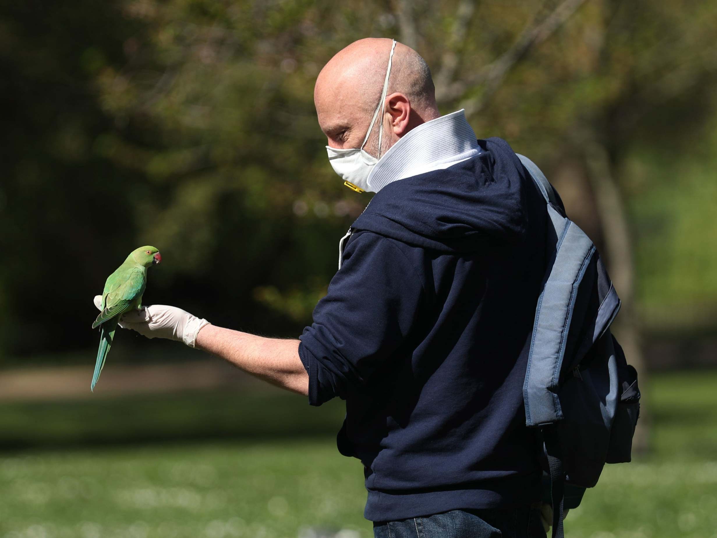 Coronavirus news you may have missed overnight: UK lockdown unlikely to be lifted soon, as 92 care homes suffer new outbreaks in 24 hours 