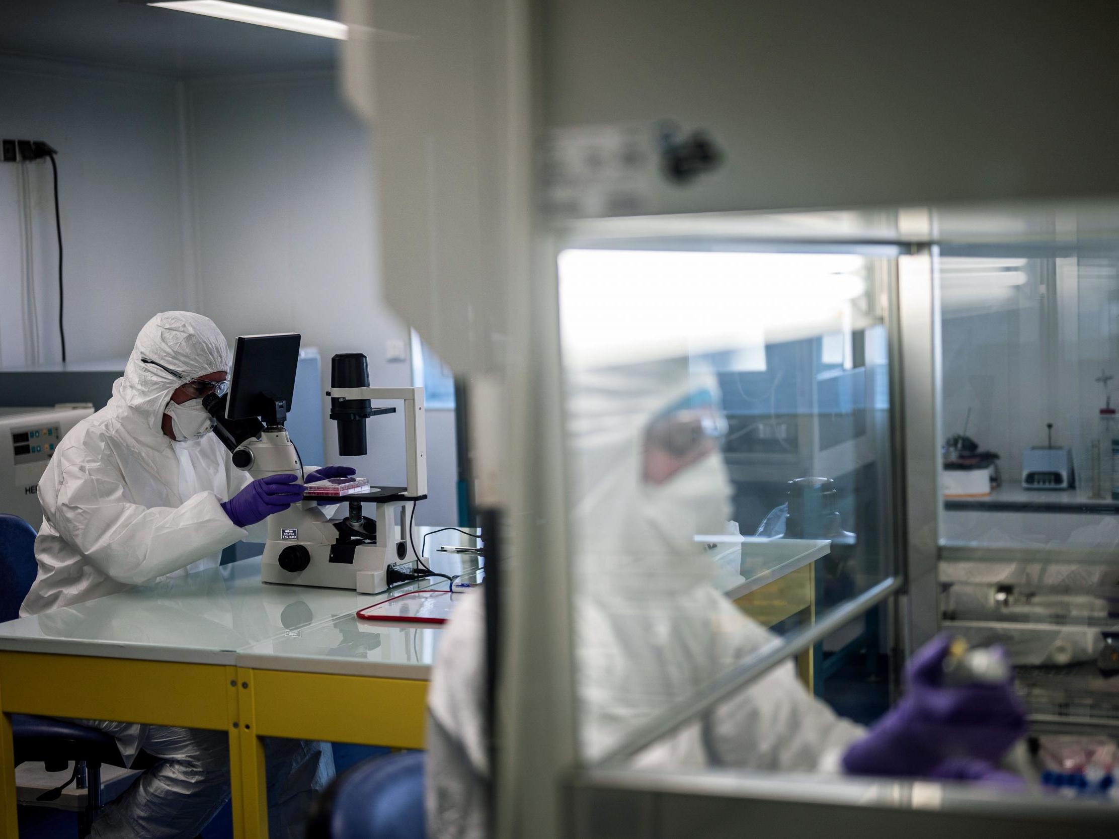 Scientists work to try to find an effective treatment against coronavirus