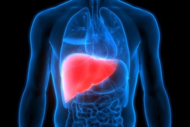 800,000 people worldwide are diagnosed with hepatocellular carcinoma every year