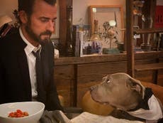 Justin Theroux makes miniature meals for his dog to eat with him in candlelit lockdown dinners