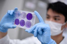 Coronavirus: Decade of Tory austerity policies left UK 'unprepared' for outbreak, former government science adviser says