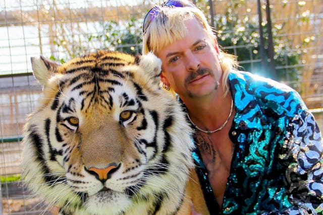 <p>Tiger King TV shows casts John Cameron Mitchell as Joe Exotic</p>