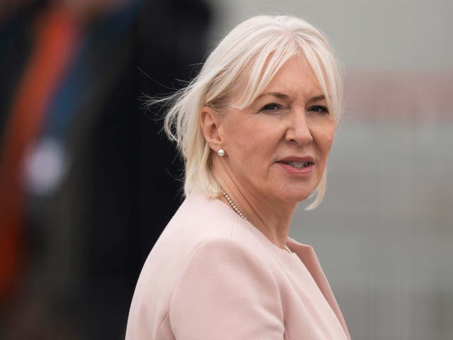 Nadine Dorries has been minister for mental health, suicide prevention and patient safety since 2019