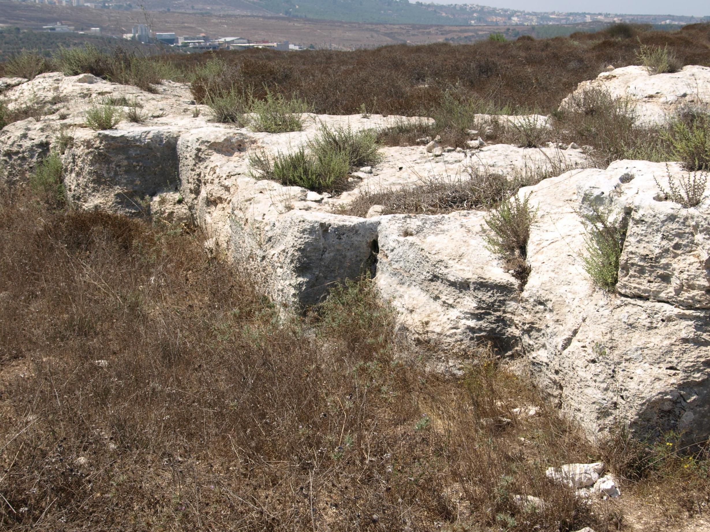Limestone quarrying was an important industry in the Nazareth area. The main quarries were used to produce stone for the region's construction industry. Smaller quarries were used to produce ritually important stone bowls and cups