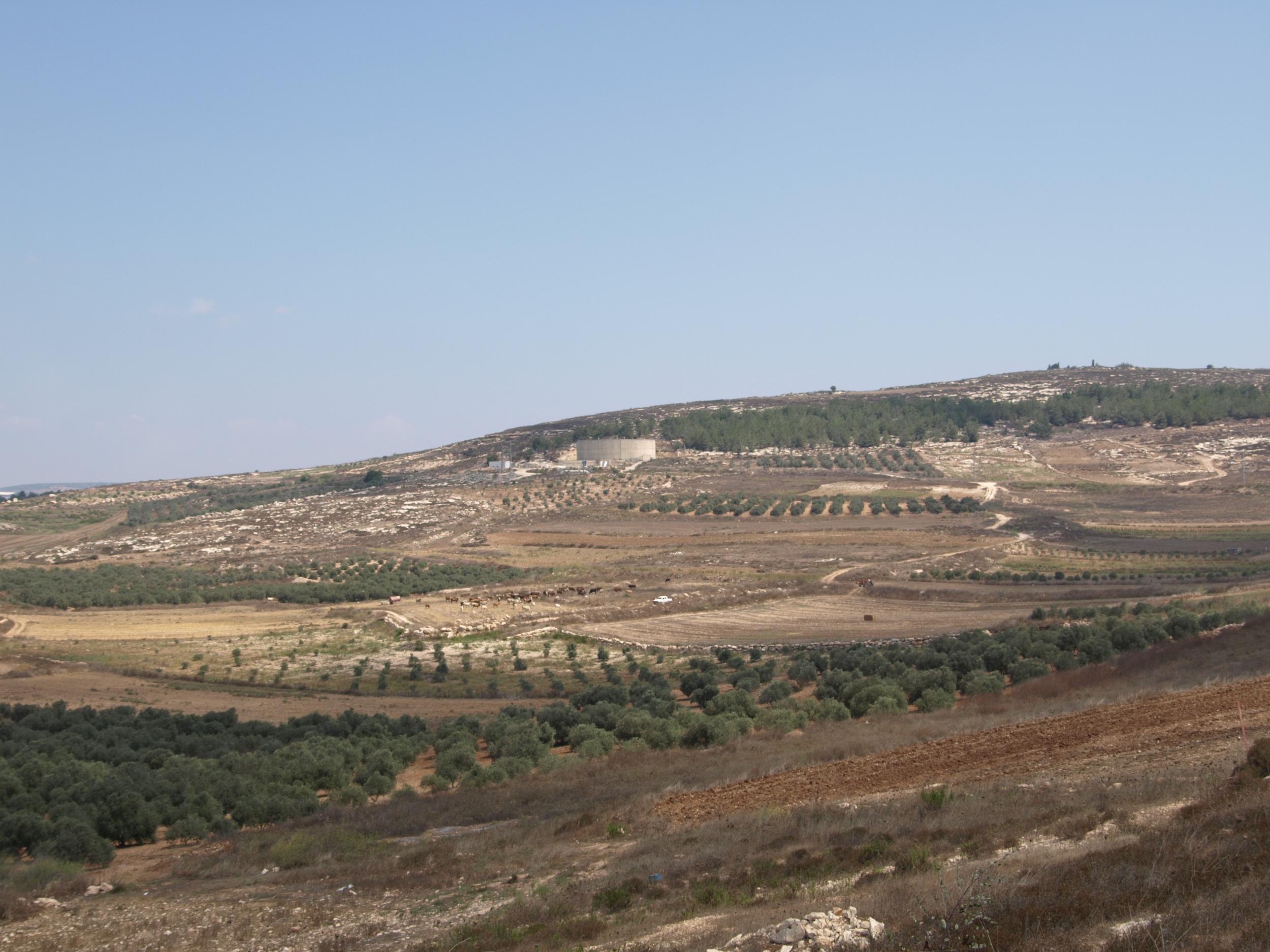 The ancient agricultural land near Nazareth where the archaeologists carried out their crucial landscape-survey work