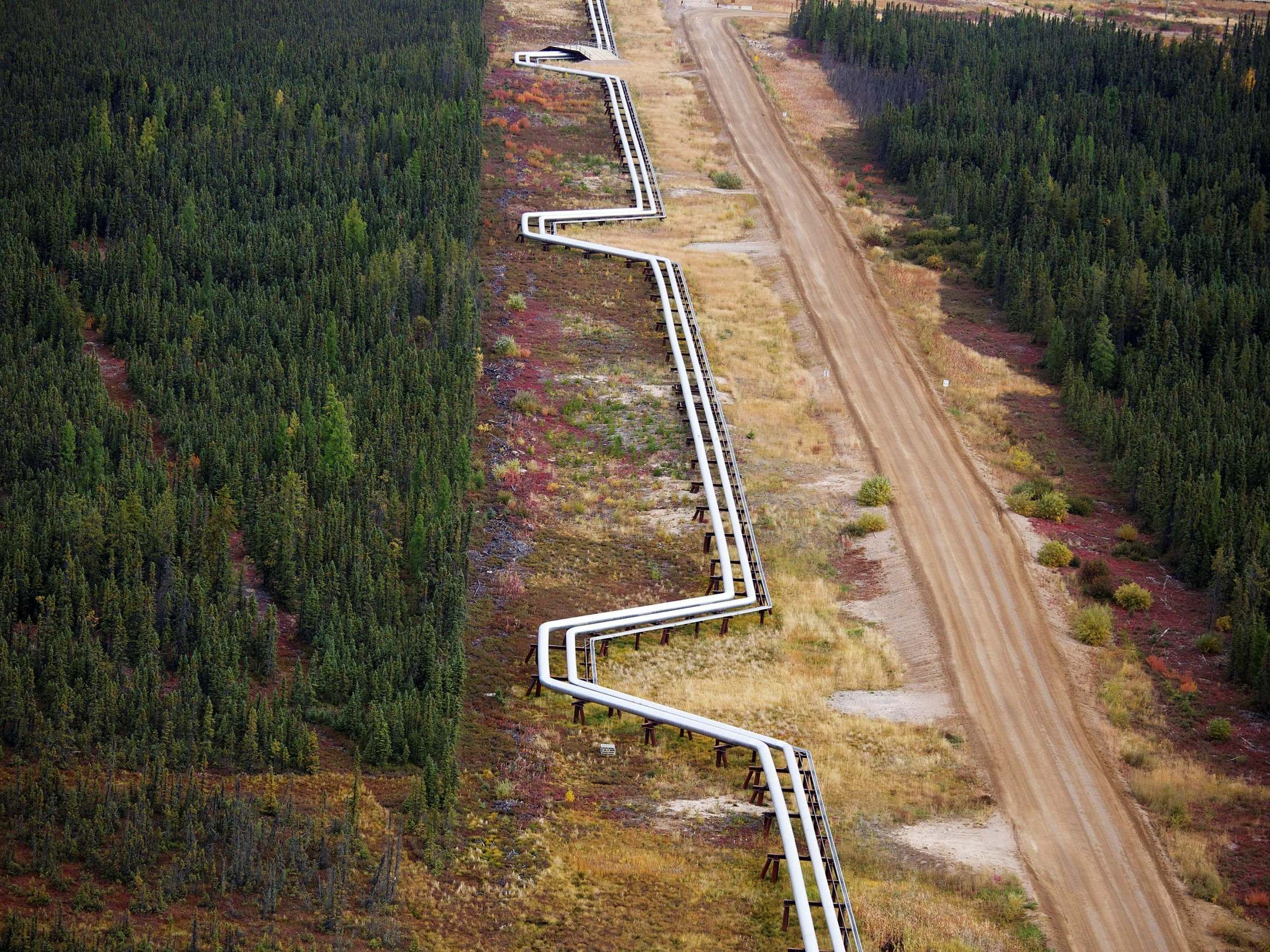 Pipelines carrying steam and oil run near Fort McMurray, Alberta REUTERS/Todd Korol/File Photo