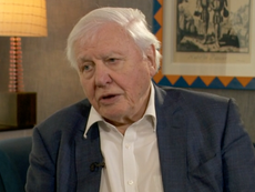 David Attenborough warns ‘human beings have overrun the world’