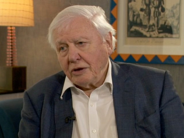 David Attenborough is releasing a new documentary, 'A Life on Our Planet'
