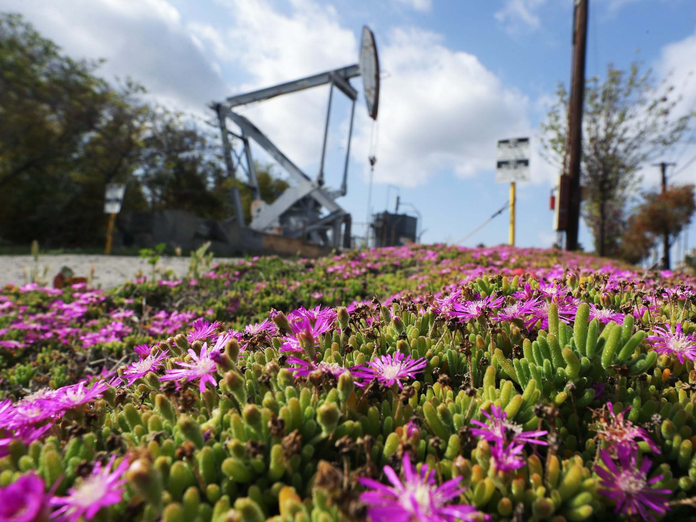 Related video: UK economy will suffer extremely large hit from coronavirus, warns rate-setter