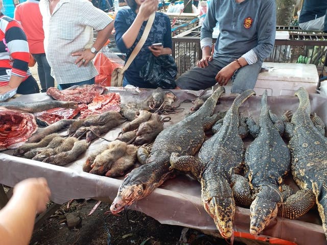 Reptiles and rodents for sale at the Tomohon wildlife market in Indonesia this month