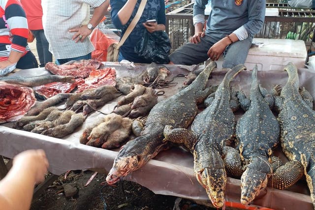 Reptiles and rodents for sale at the Tomohon wildlife market in Indonesia this month