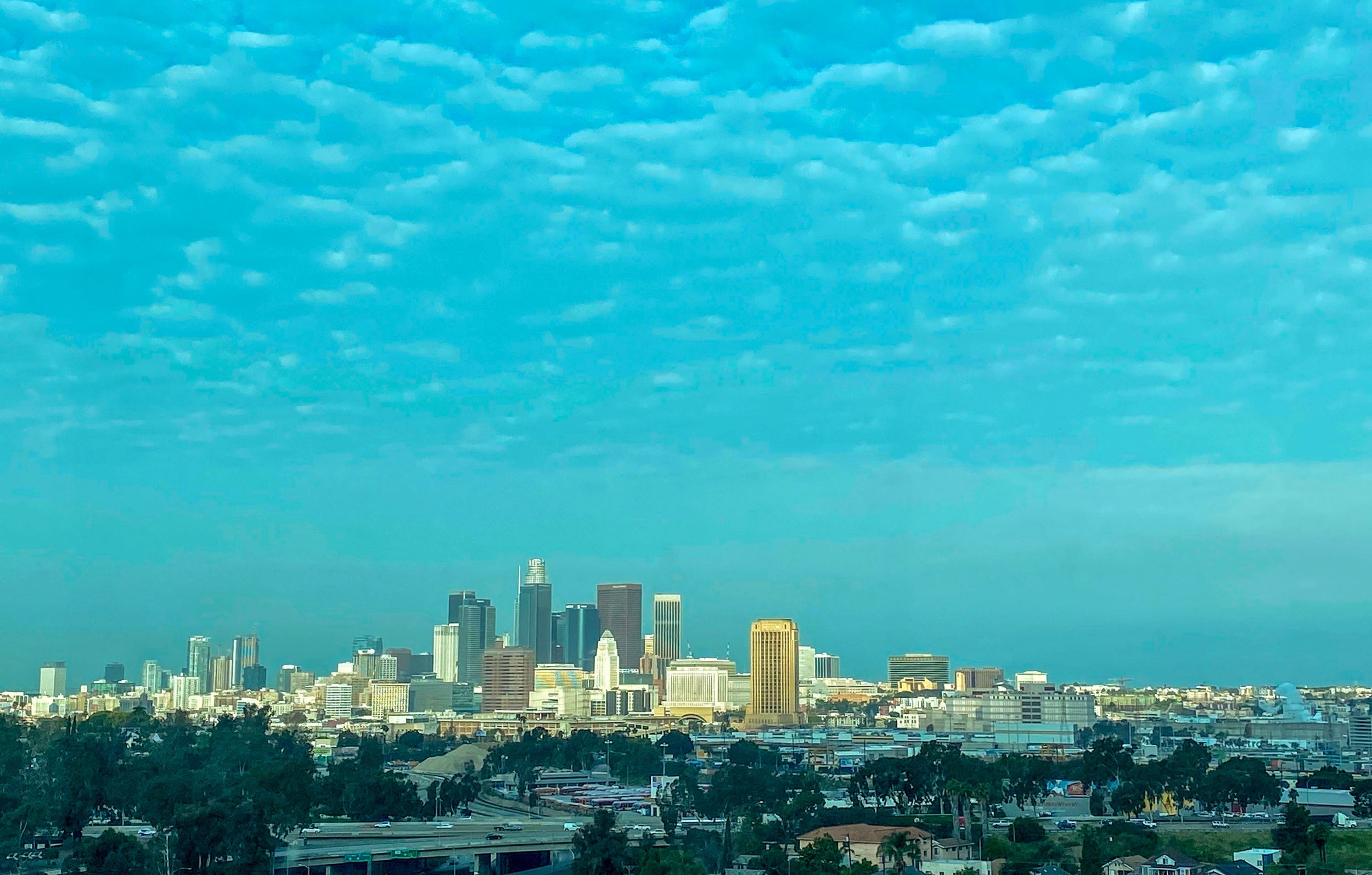 Since lockdown, Los Angeles has seen some of the cleanest air of any major city in the world?(AFP via Getty)