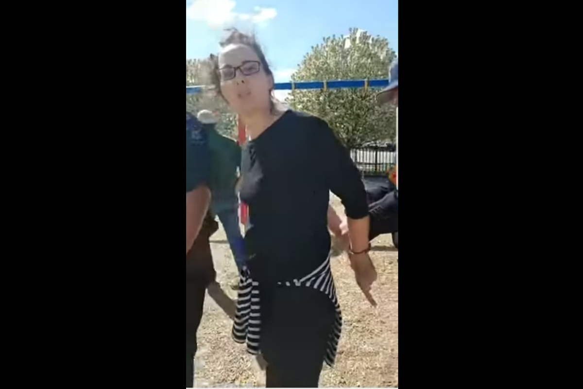 Mother arrested for breaking into playground with children to protest ...