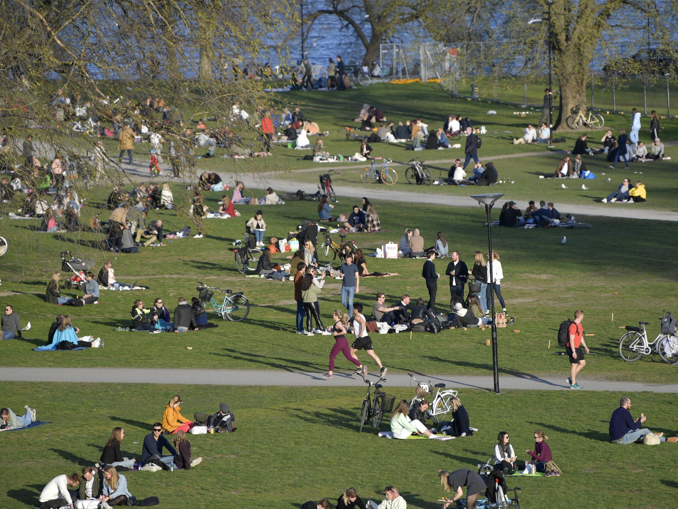 Sweden's top epidemiologist explains country's 'trust-based' approach to tackling coronavirus