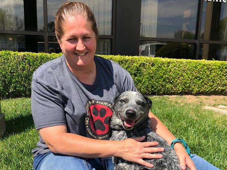 Related video: Big Poppa the bulldog looks sad as he misses playing with building residents