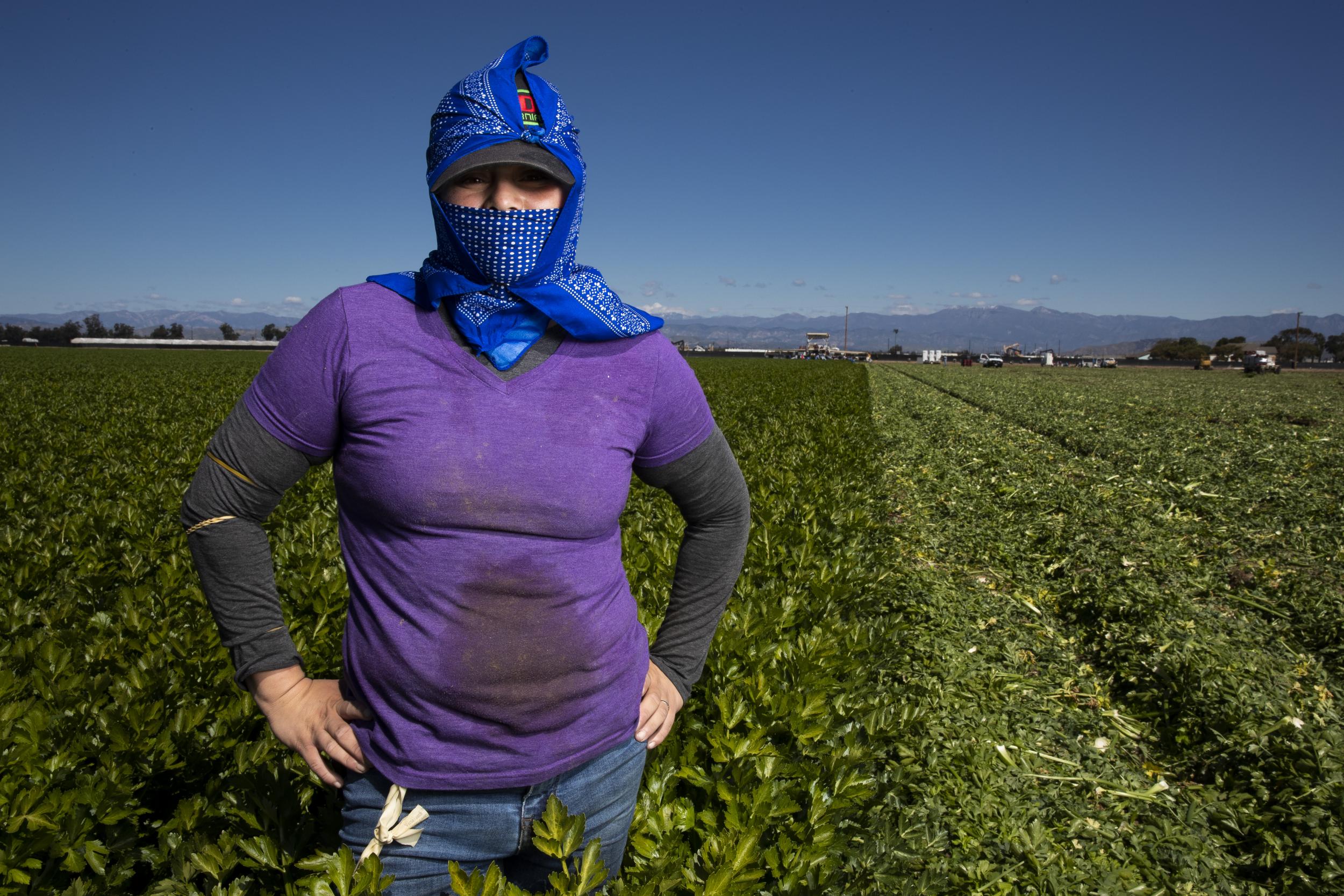 Coronavirus: America's 'essential' farmworkers fearful as Covid-19 infections rise