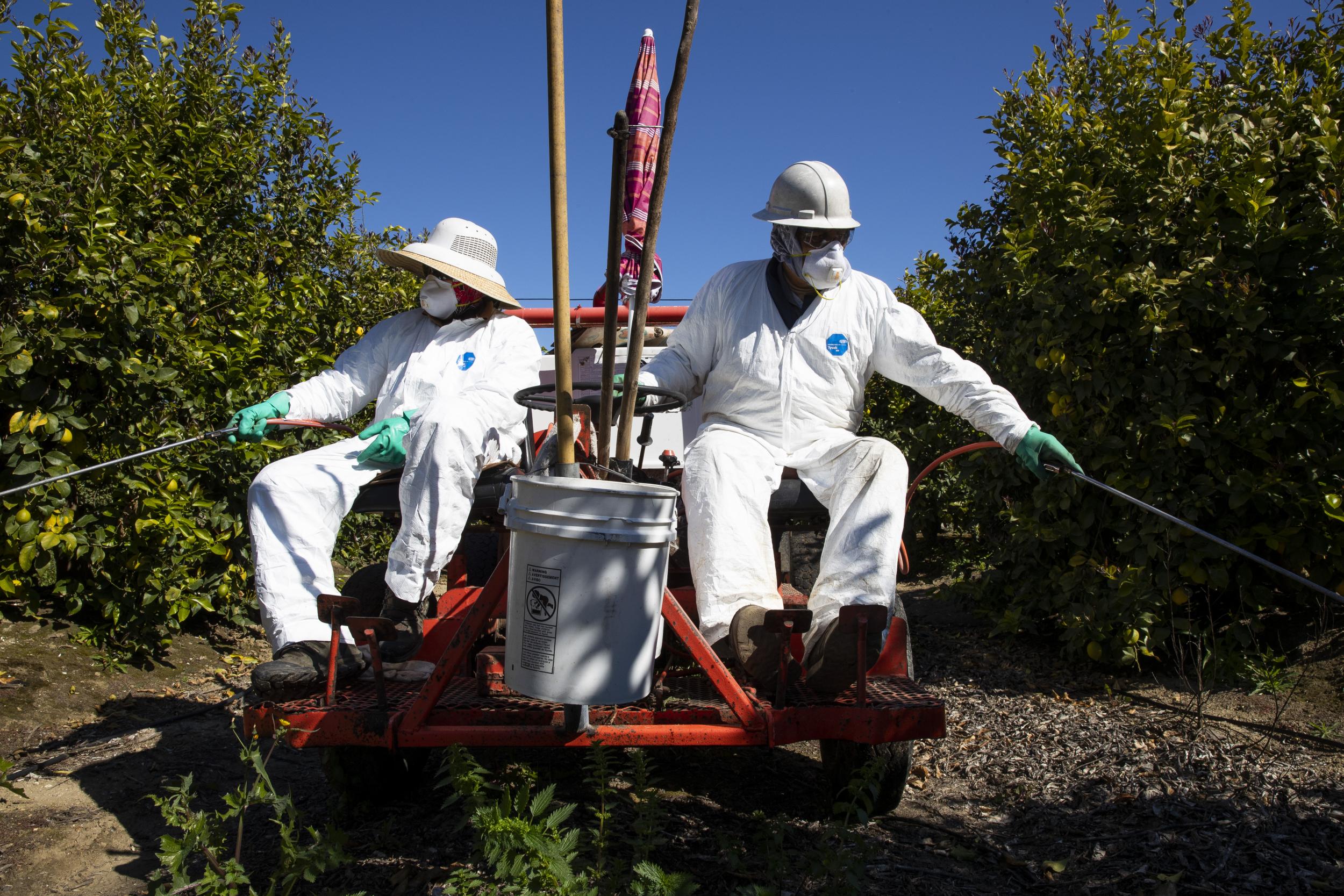Farmworker from El Salvador explains why he risked coronavirus infection to grow America's food