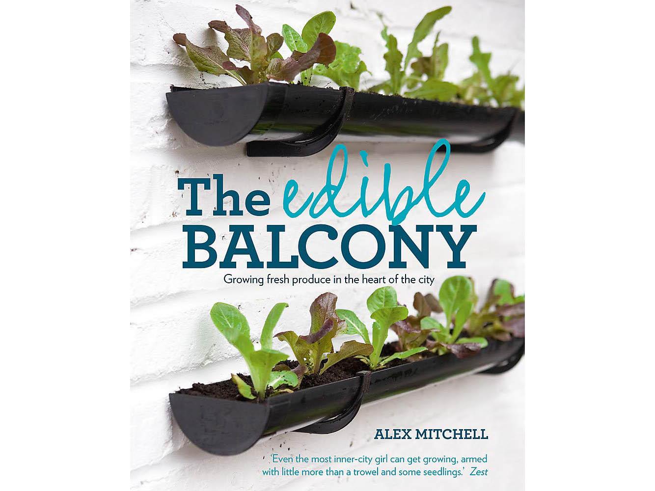 Learn what to grow and how to grow in small, balcony spaces from Mitchell's expertise (