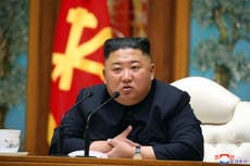 North Korea declares emergency after first suspected Covid-19 case