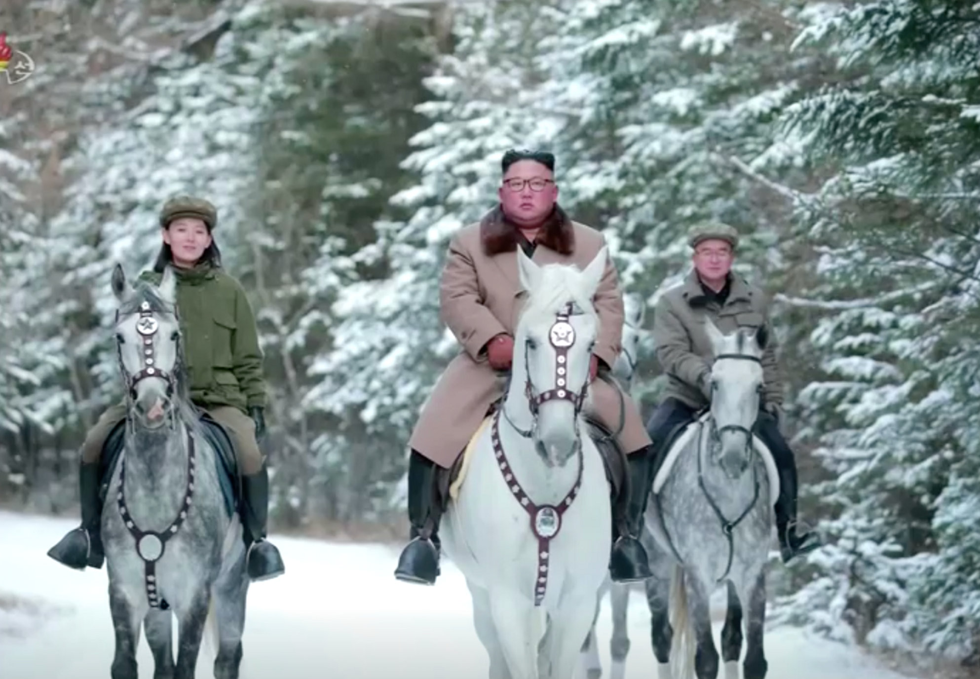 The siblings have been pictured riding white horses at Mount Paektu, the sacred and mythical birthplace of the nation