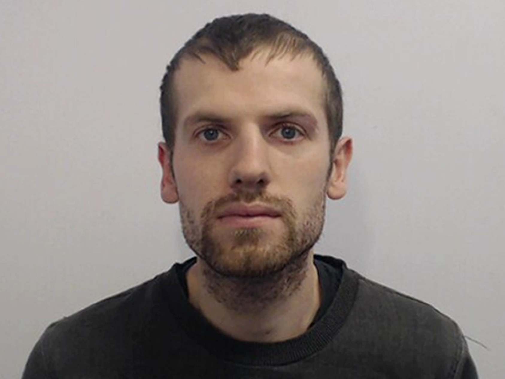 Daniel Shevlin has been jailed for two years for the assault