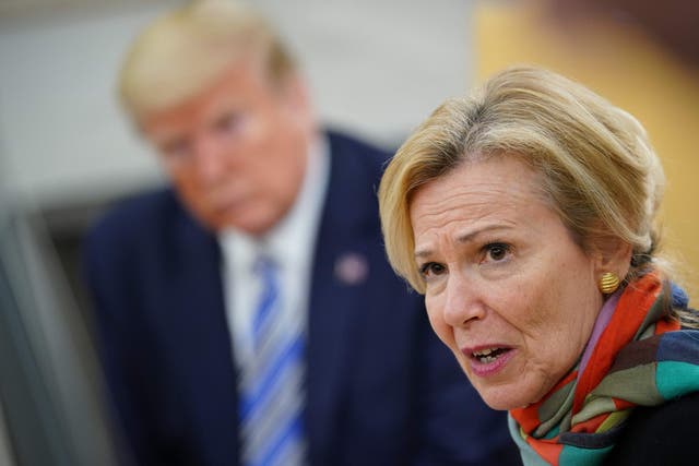 Deborah Birx speaks as Donald Trump looks on during a meeting with Florida governor Ron DeSantis in the Oval Office