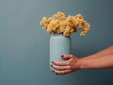 How to dry your own flowers at home
