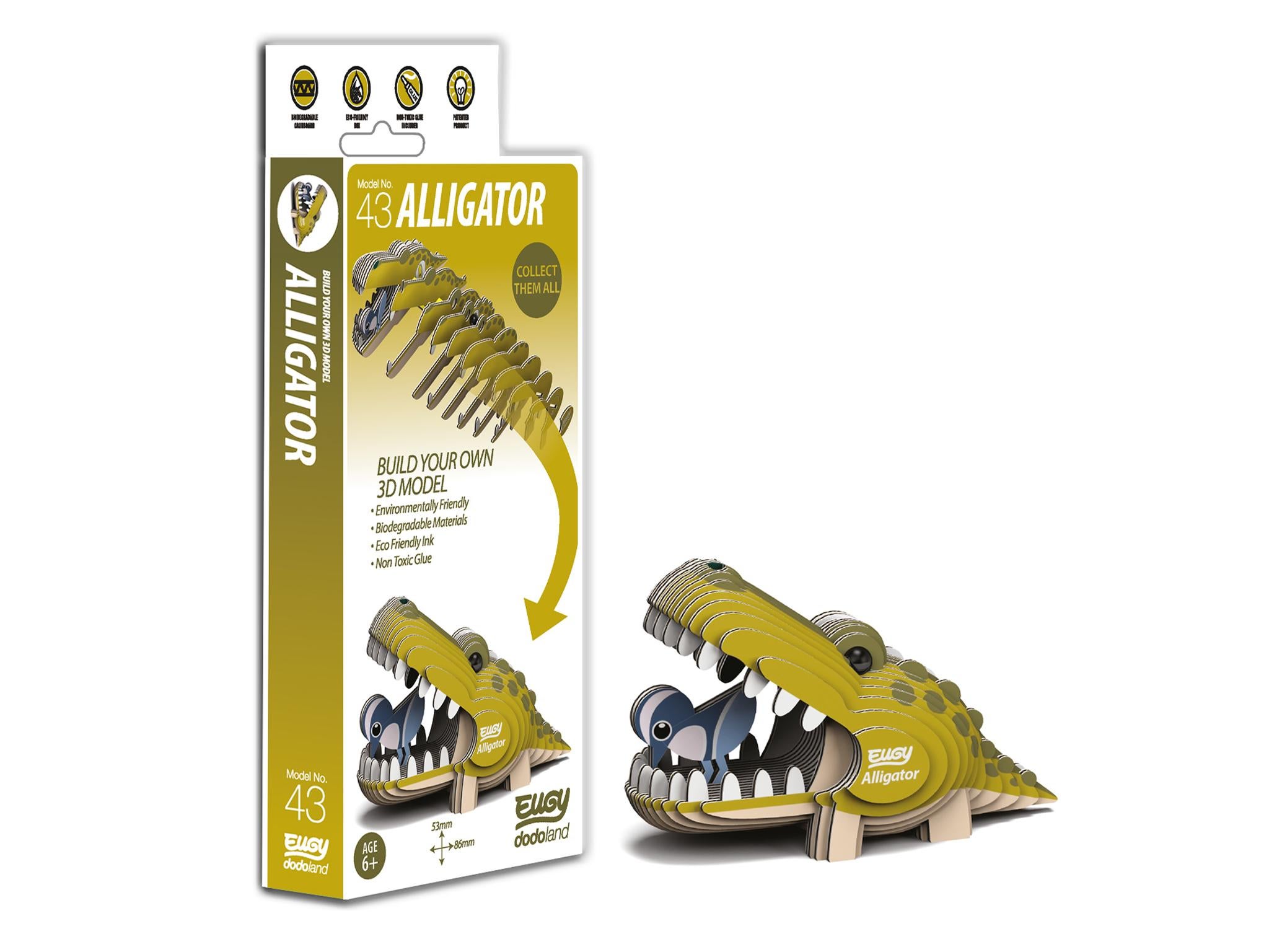 alligator-.jpg