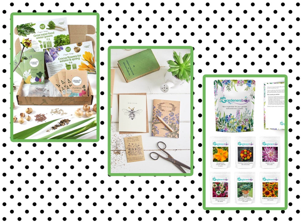 Best gardening subscription boxes Get inspired to make the most of