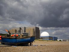 Sea level rise ‘could threaten nuclear power station’ planned for UK