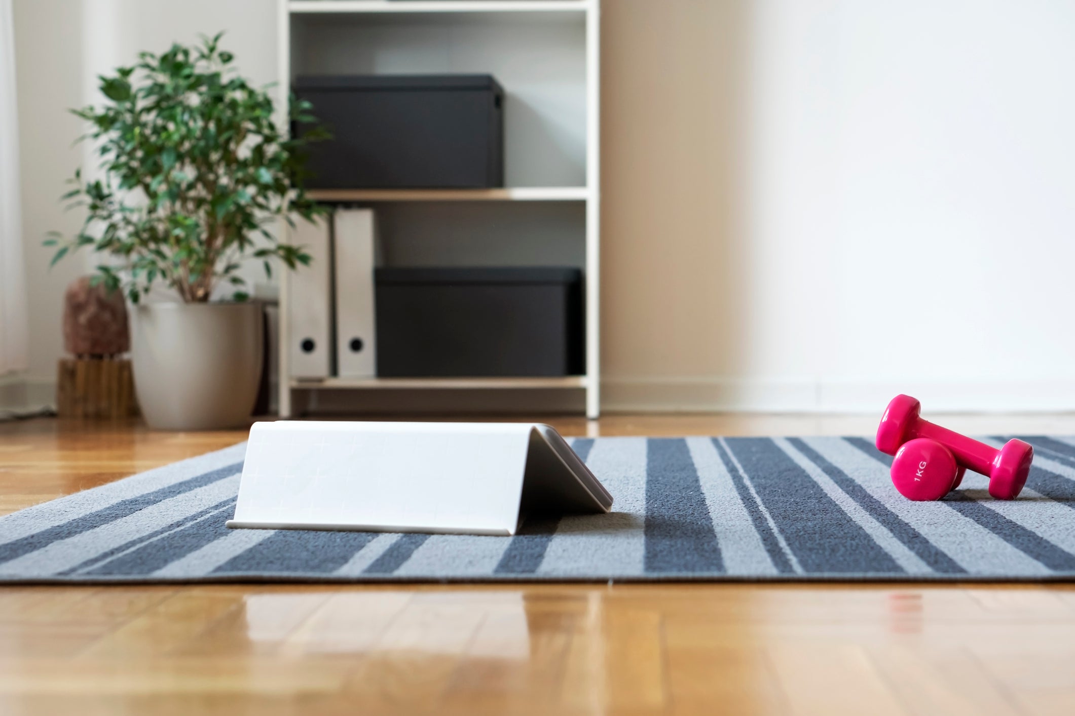 13 best at-home workout products, according to personal trainers