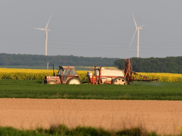 Farmland, which was a sure bet before the lockdown, is set to ascend even higher in value