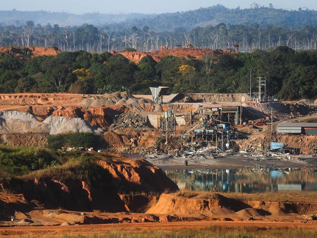 Deforestation is a key driver of infectious diseases, scientists warn