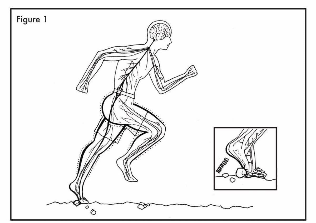 Proper barefoot running form