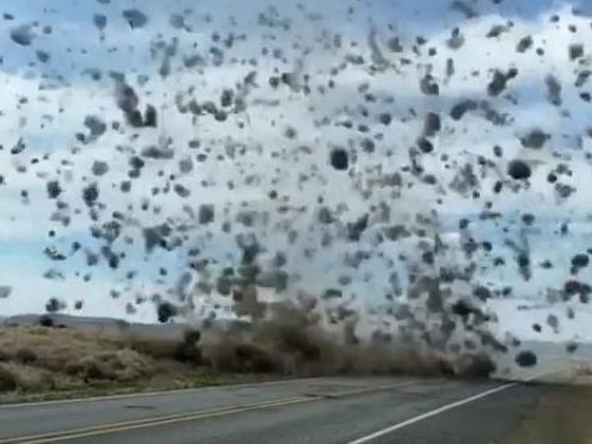 Washington man gets caught in a 'tumbleweed tornado': video