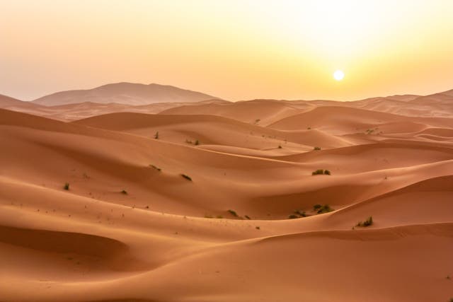 Solar power from only one to two per cent of the Sahara could provide electricity for the whole of Europe