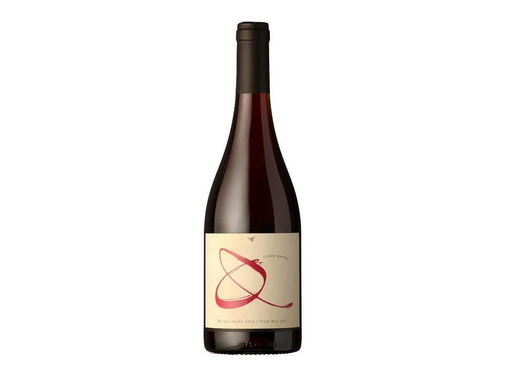 Best Chilean wines - May 2020 - IndyBest