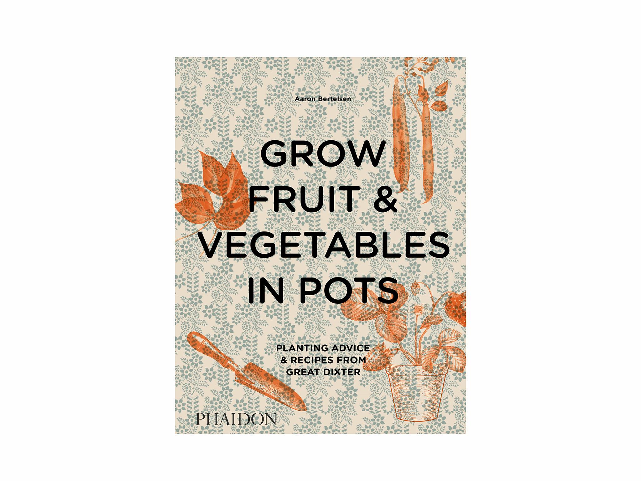 Grow Fruit & Vegetables In Pots by Aaron Bertlesman indybest gardening windowsill 