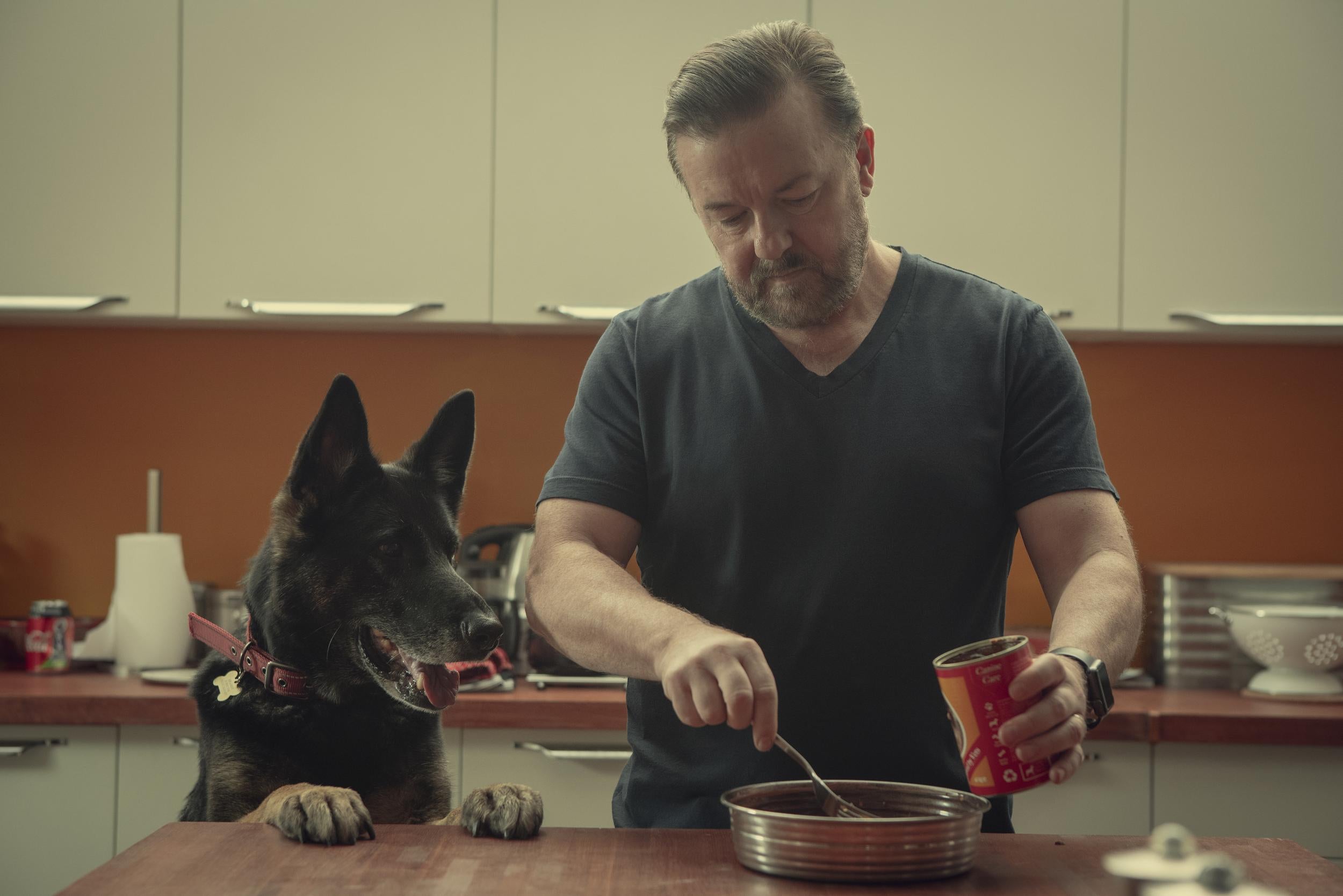 Ricky Gervais as Tony in Netflix's 'After Life' (Netflix )